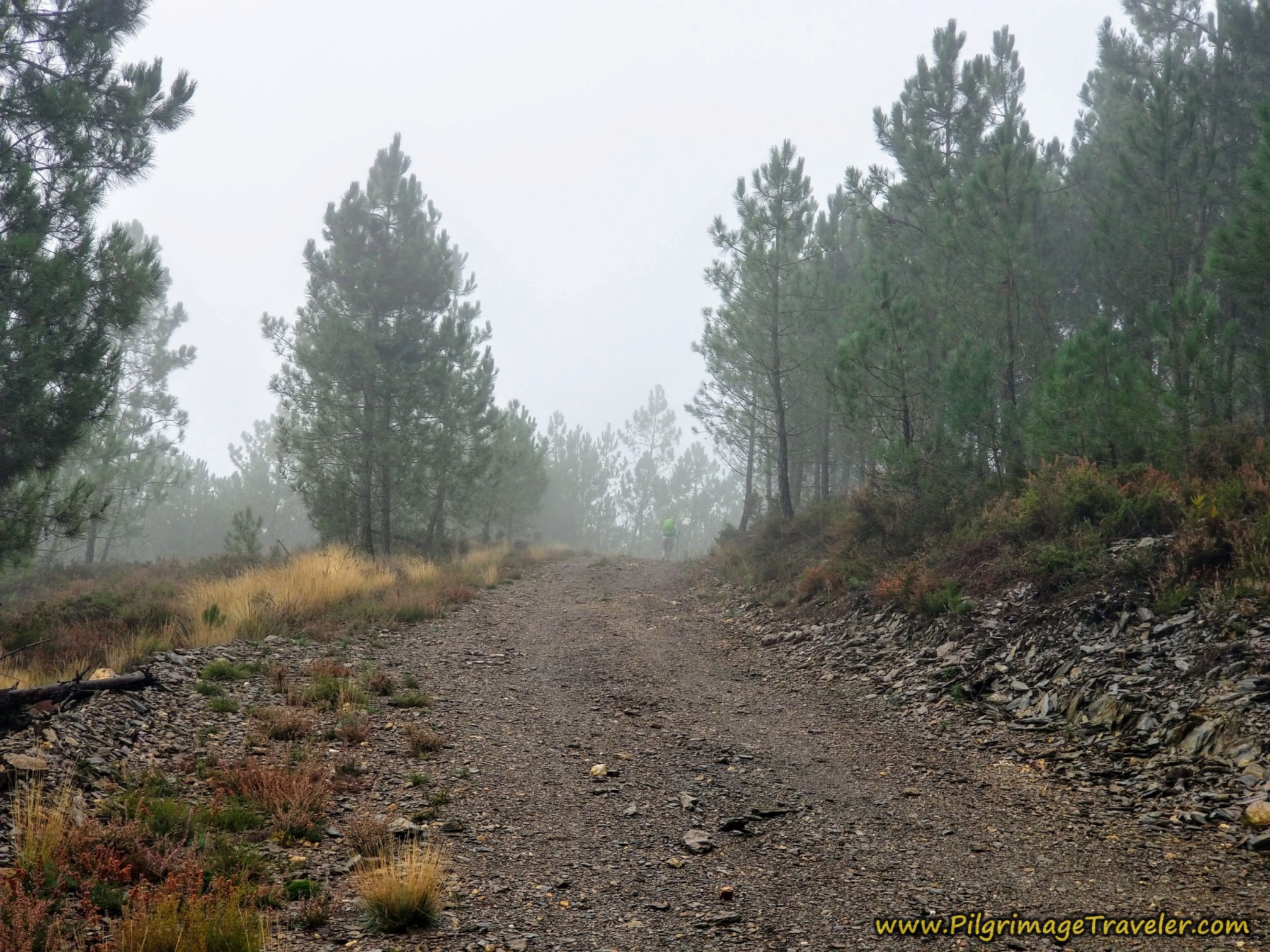 Switchbacks Into the Mist