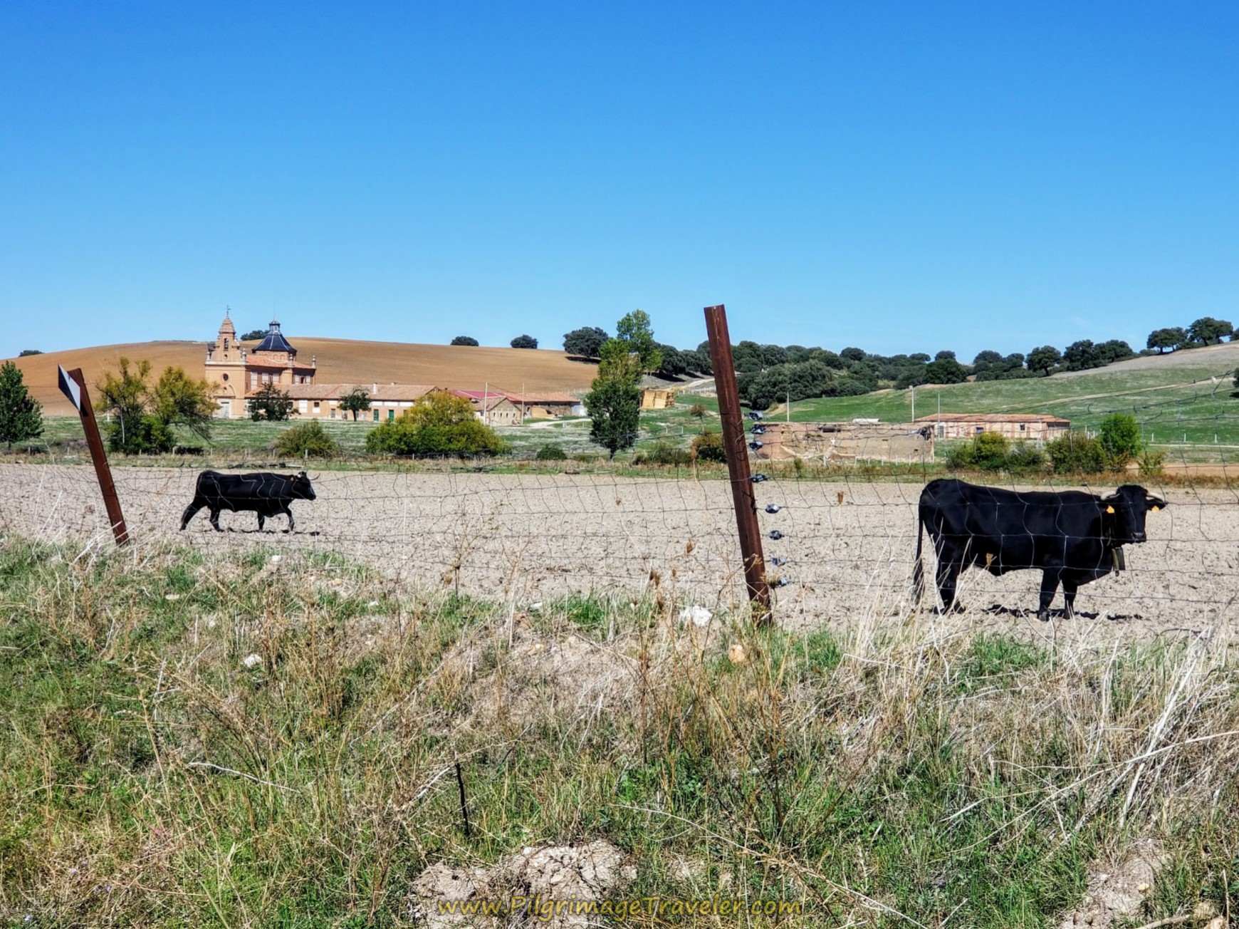 Walk by the estate on day four of the Camino Teresiano
