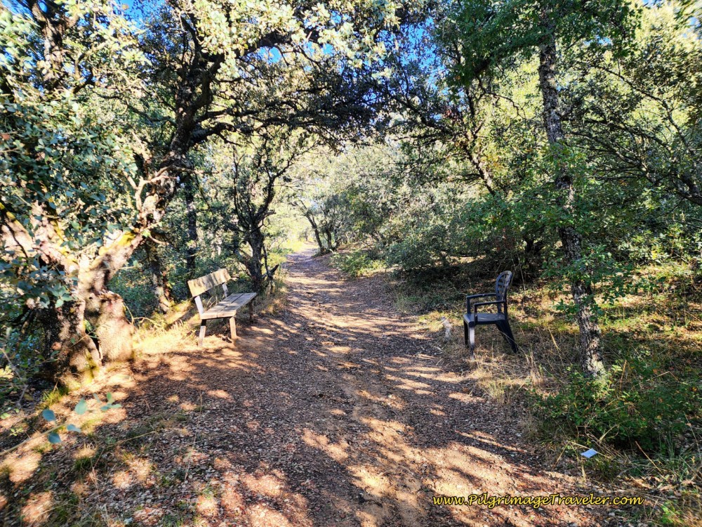 Pilgrim Rest Stop in the Holly Forest