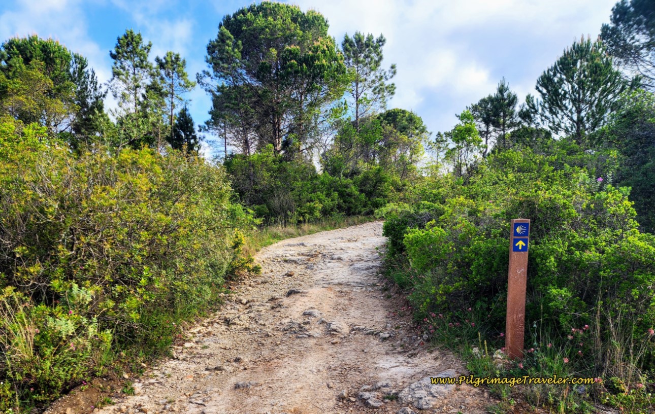 Rua Alegria Country Lane