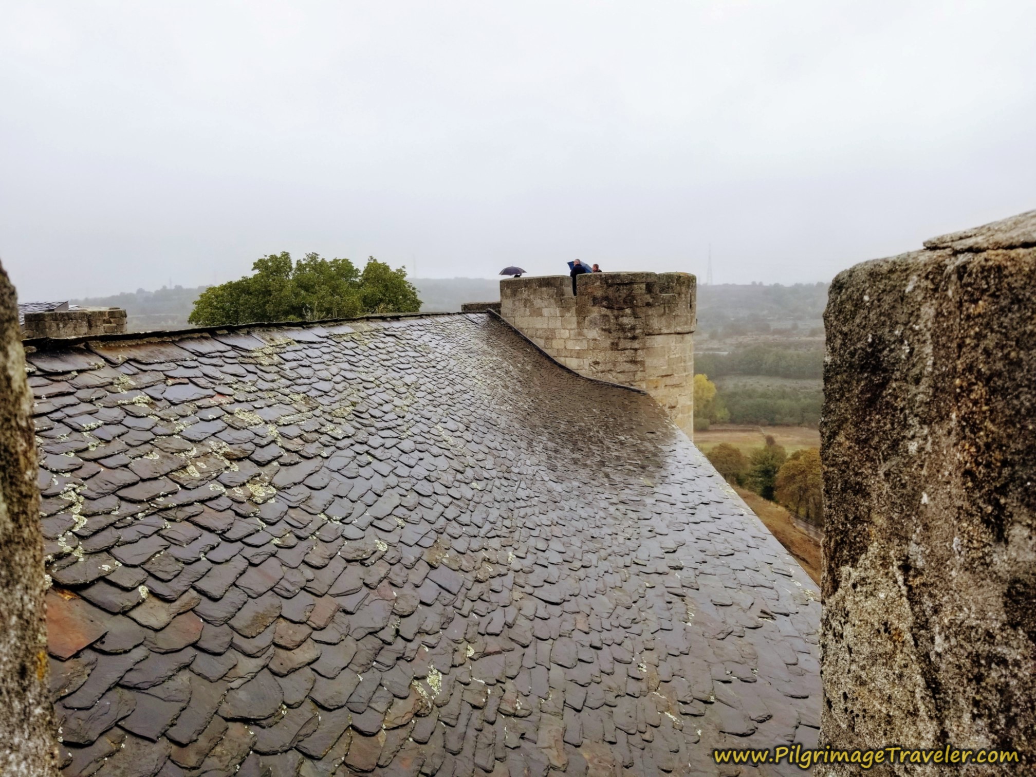 Slate Roof in the Rain