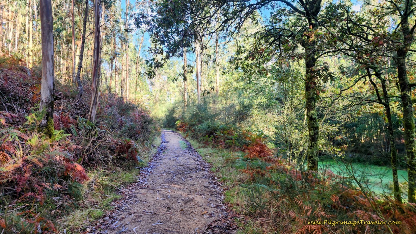 Turn Left Onto Narrower Path