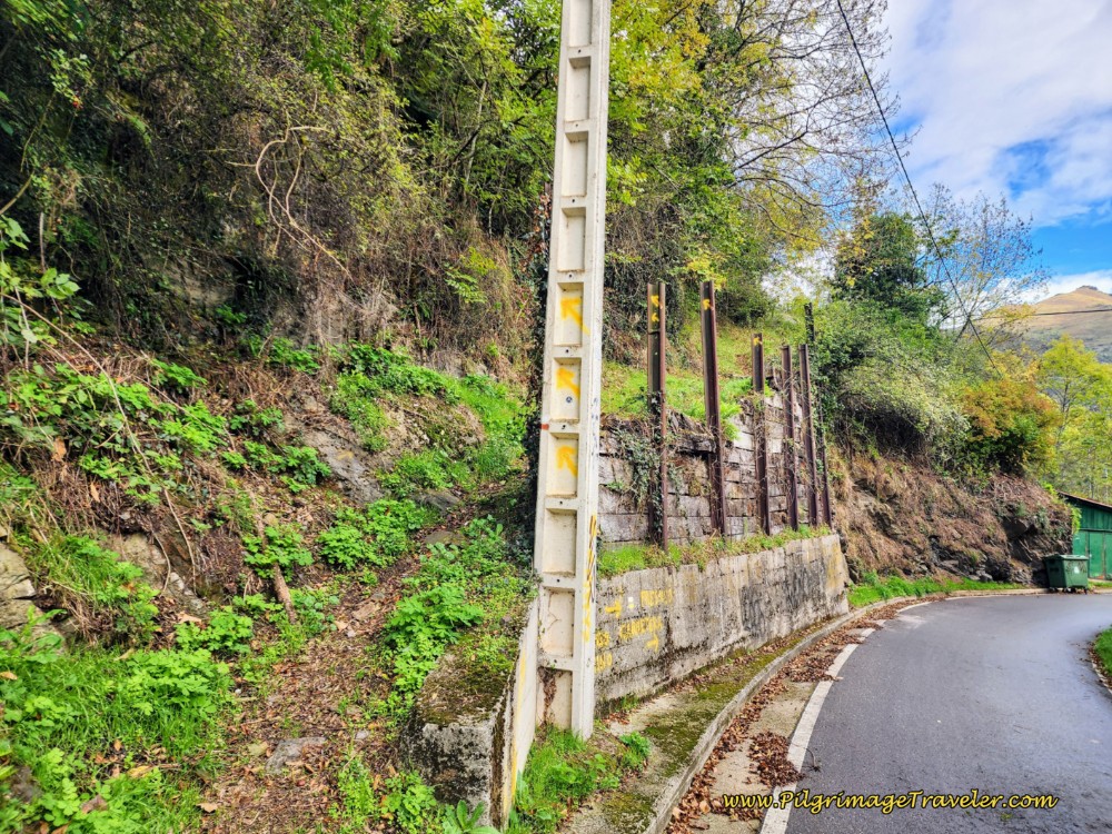 Turn Onto Path in Puente de Los Fierros