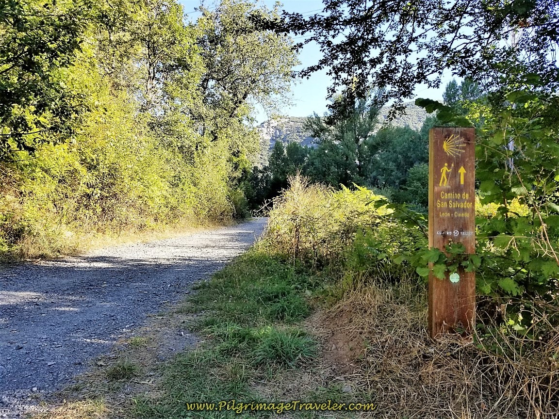 The Path is Well Waymarked on day two of the Camino de San Salvador