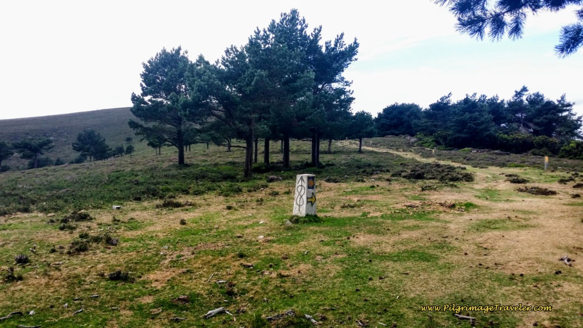 At the Top of the Next Hill