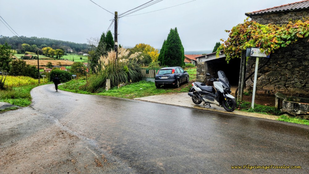 Alternative Route Joins the Standard in Pedrido