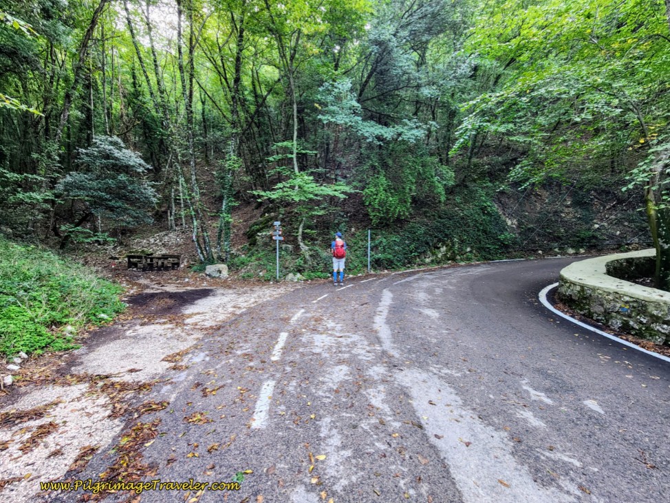 Along the Via Eremo delle Carceri