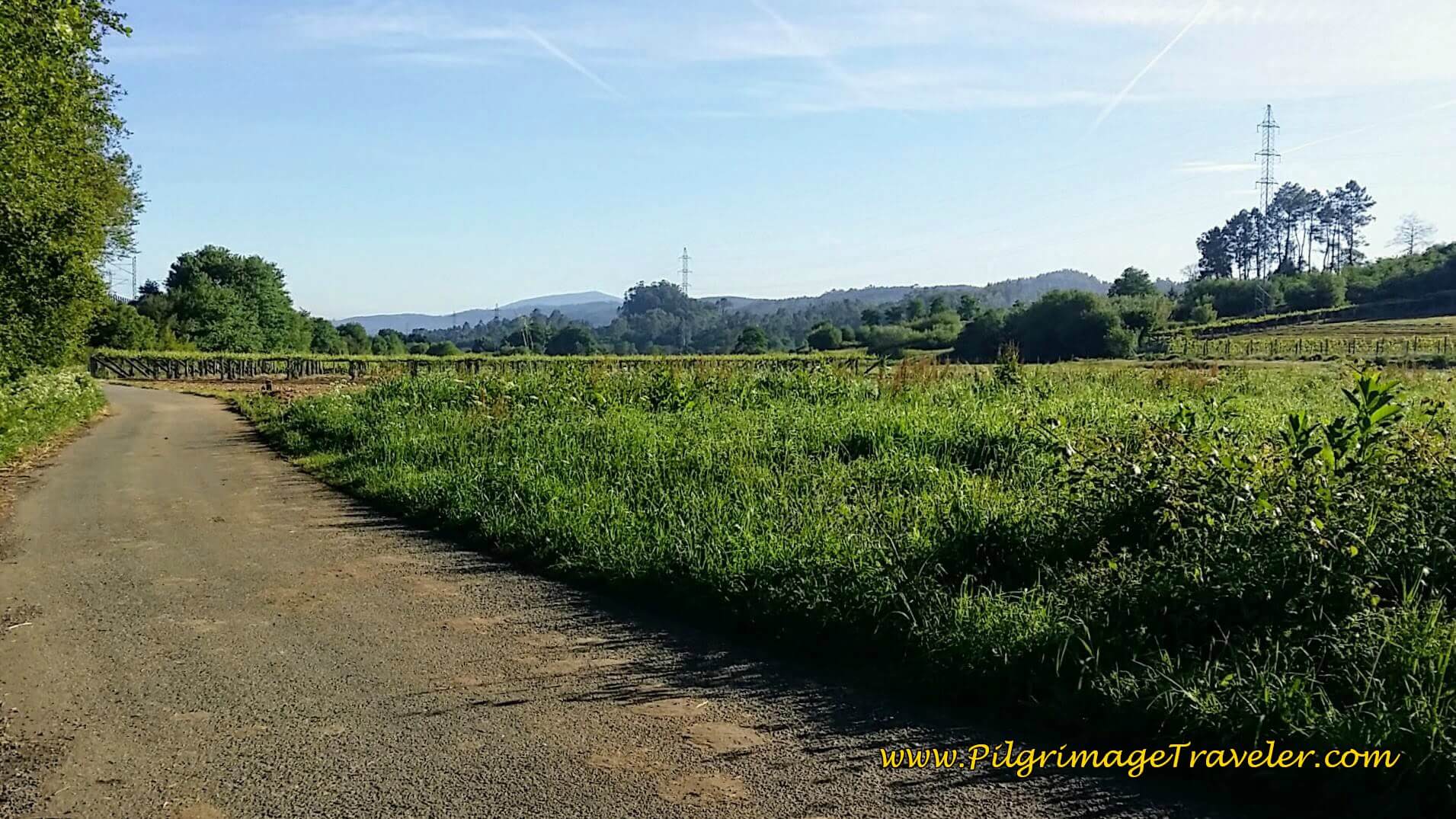 Agricultural Road in Spanish Wine Country on day twenty-three, Camino Portugués Agricultural Road in Spanish Wine Country on day twenty-three, Camino Portugués