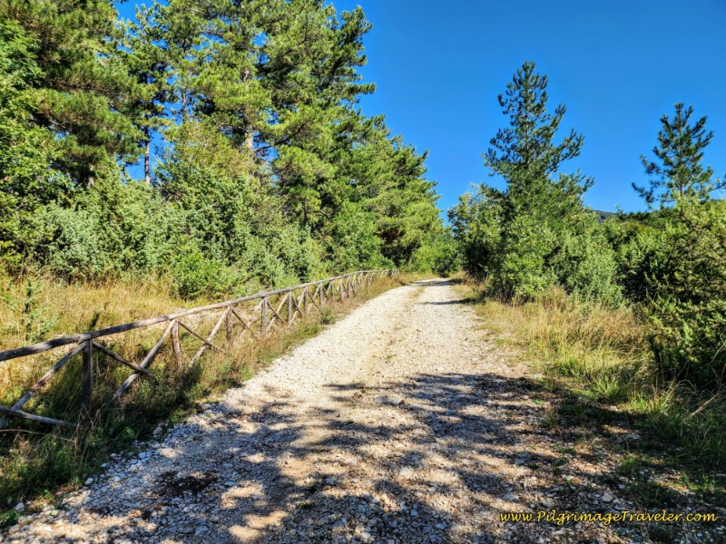 Way of St. Francis: Day Seventeen, Piediluco to Poggio Bustone - Walking Along the Split Rail Fencing