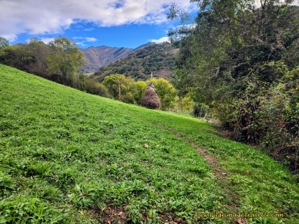 Keep Climbing Through a Meadow