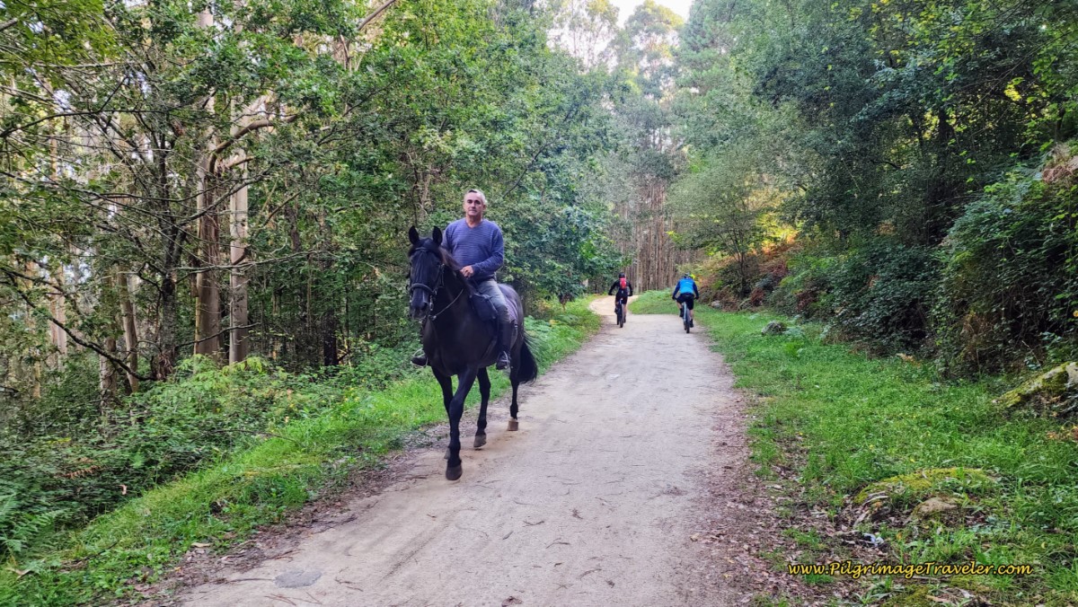 Riders: Horseback and Bicycles