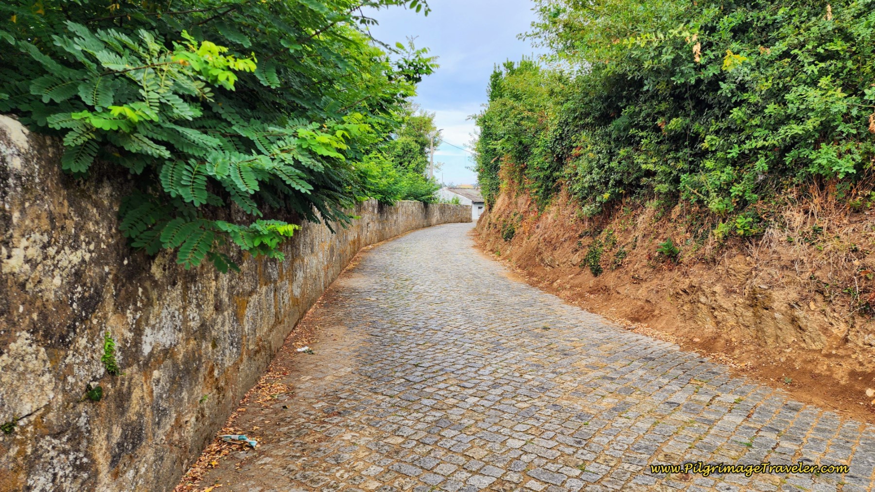 Leaving Aveleda on Cobblestone Rua Botica