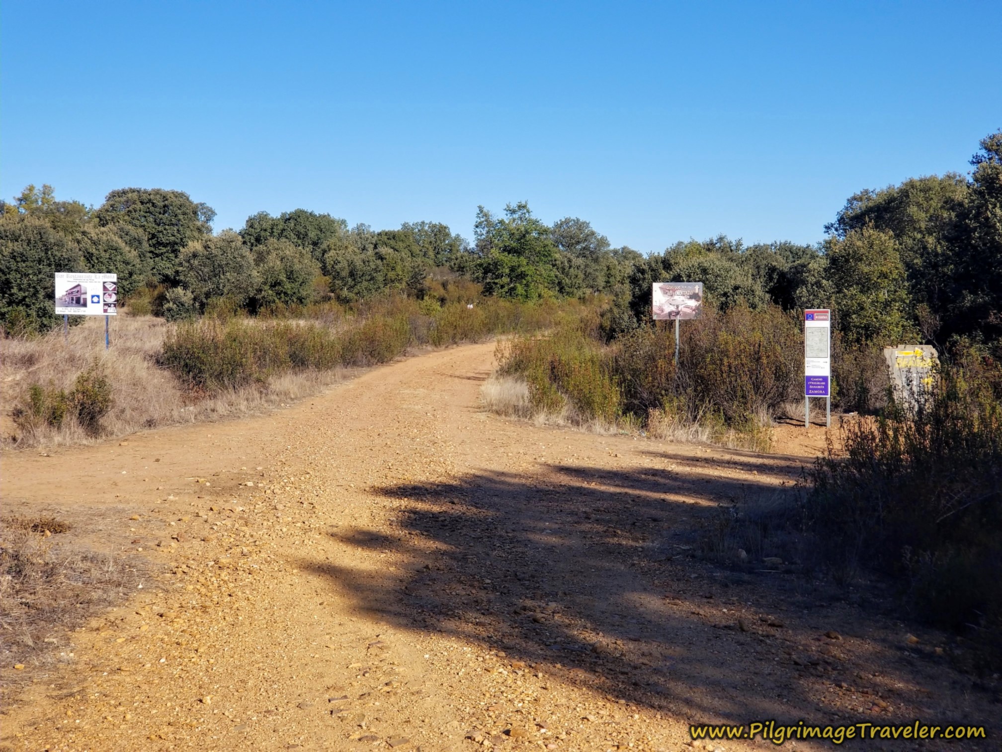 Decision Point Decision Point