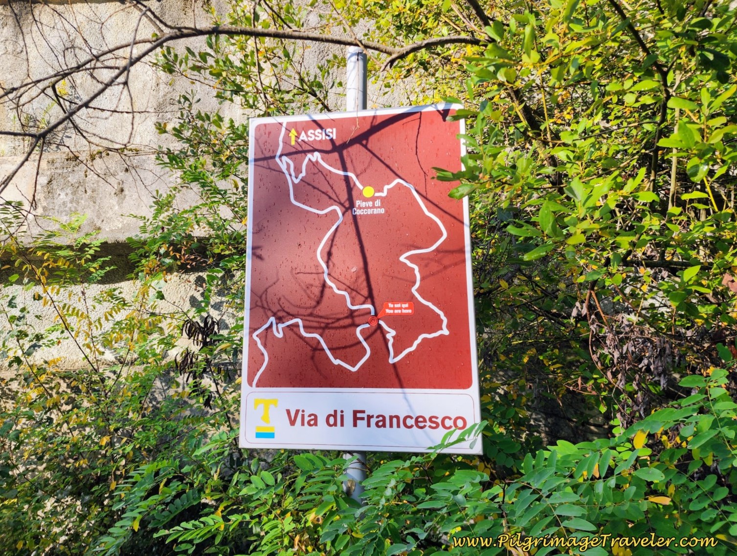 The Via Diverges ~ Decision Point, day nine, Way of St. Francis, Biscina to Valfabbrica