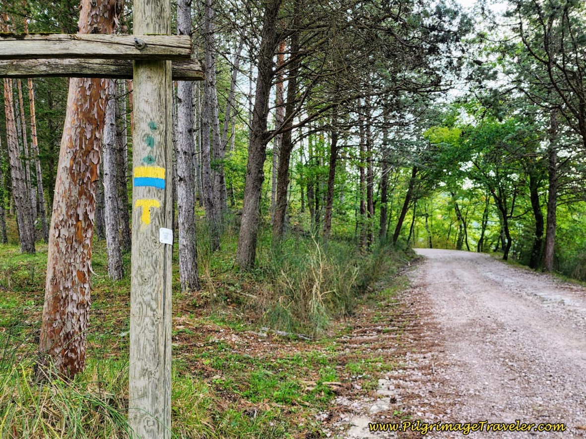 Entrance to the Second Climb, day seven of the Way of St. Francis from Pietralunga to Gubbio