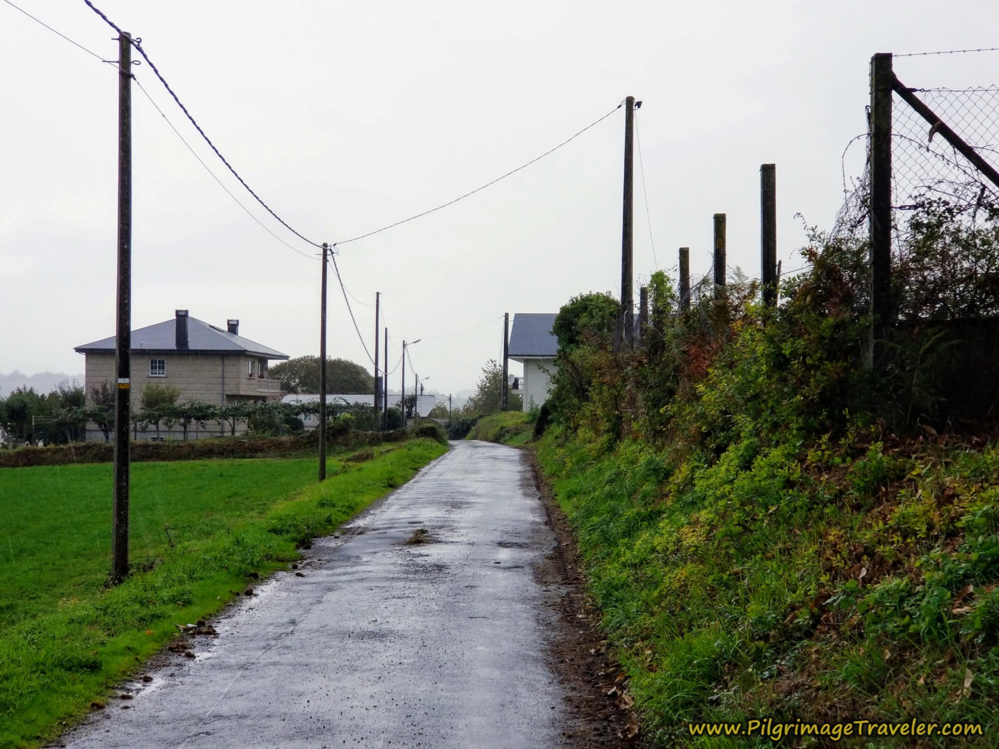 Lane to Next Town of Prado Lane to Next Town of Prado