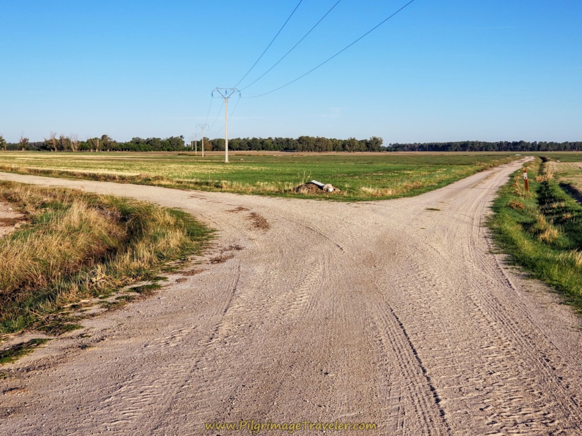 Left at the Y Intersection