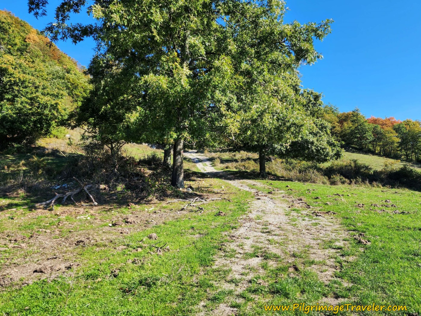 The Way Opens Up on the Way of St Francis Pieve Santo Stefano to Montagna