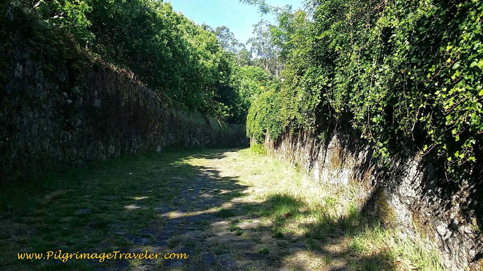 Pathway to Santiaguiño do Monte in Padrón on Day Twenty-Four, Portuguese Way