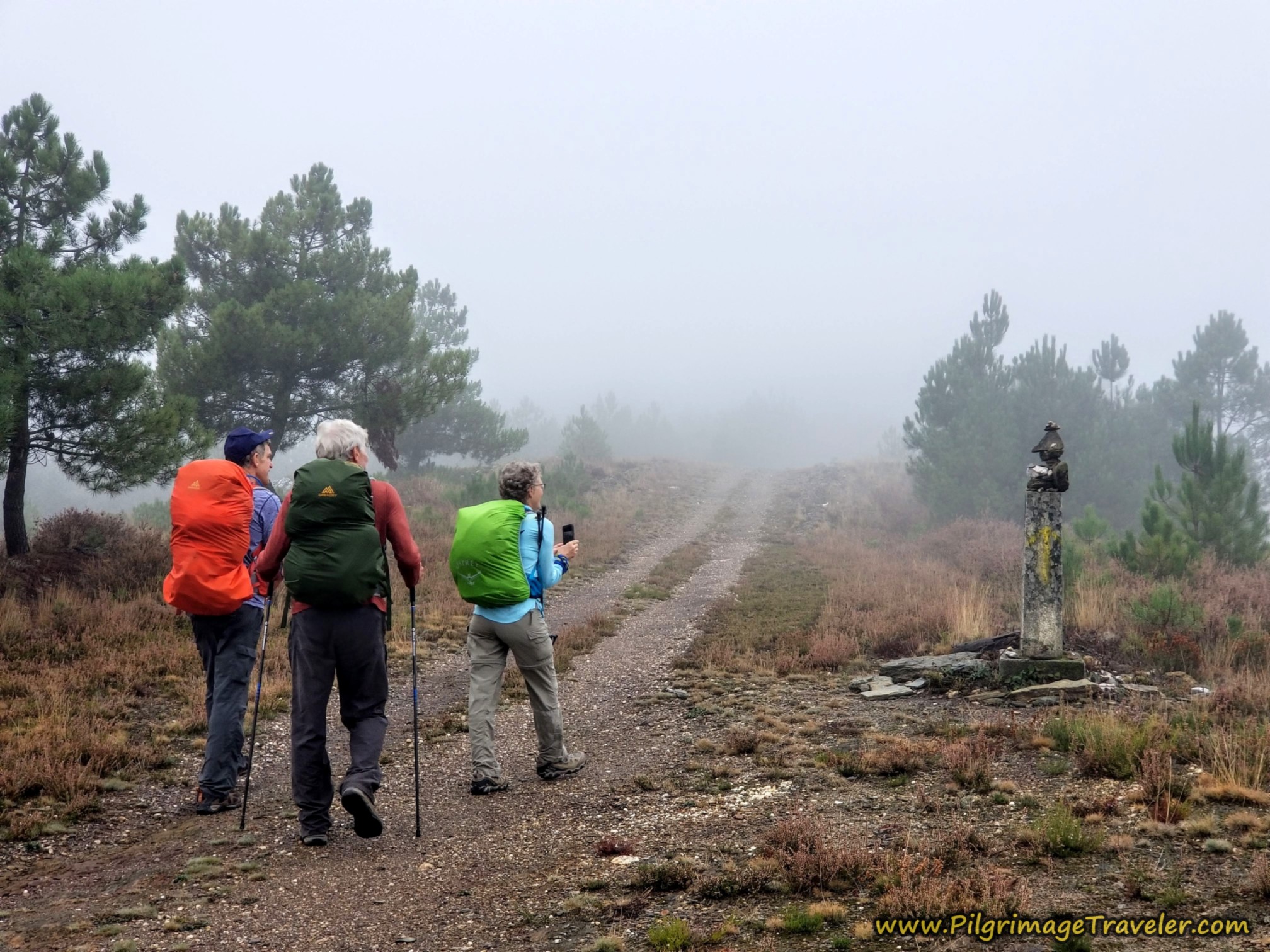 A Pause for an Interesting "Sculpture," Camino Sanabrés,  A Laza to Vilar de Barrio