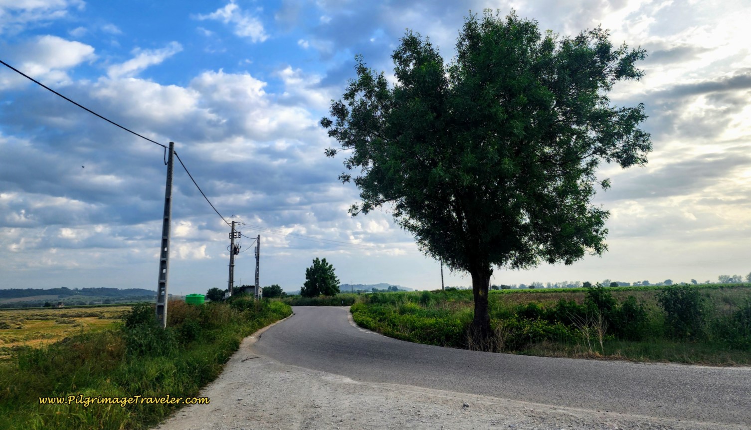 Brief Pavement, then the Camino Turns Right on Another Lane