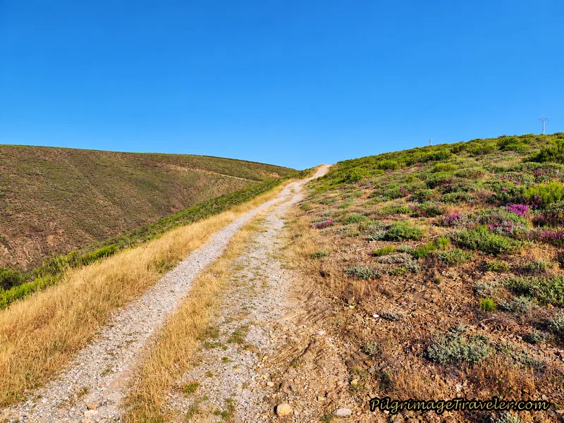 Steep, High Road