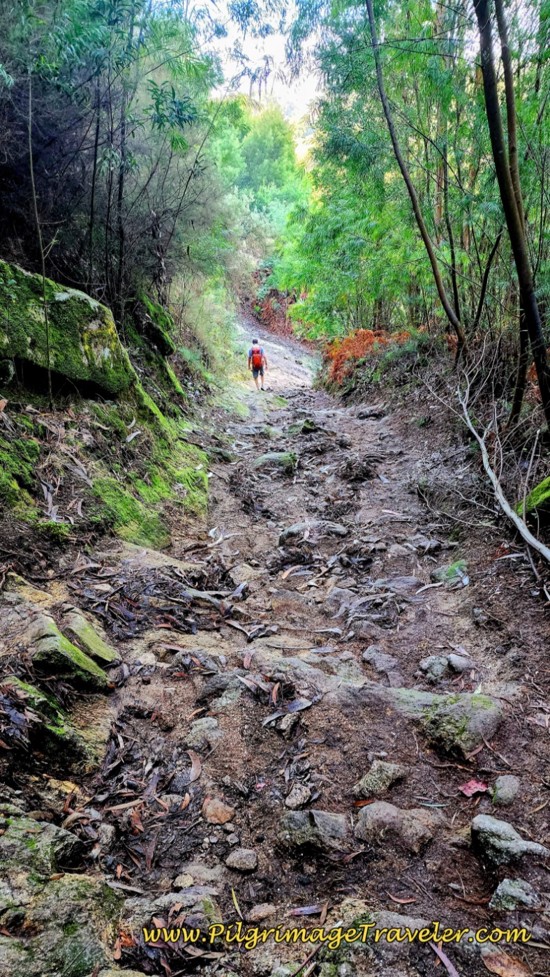 Steep and Rocky Grade