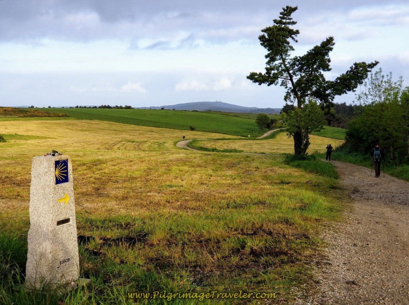 Walking Among the Windmills at Lofty Heights