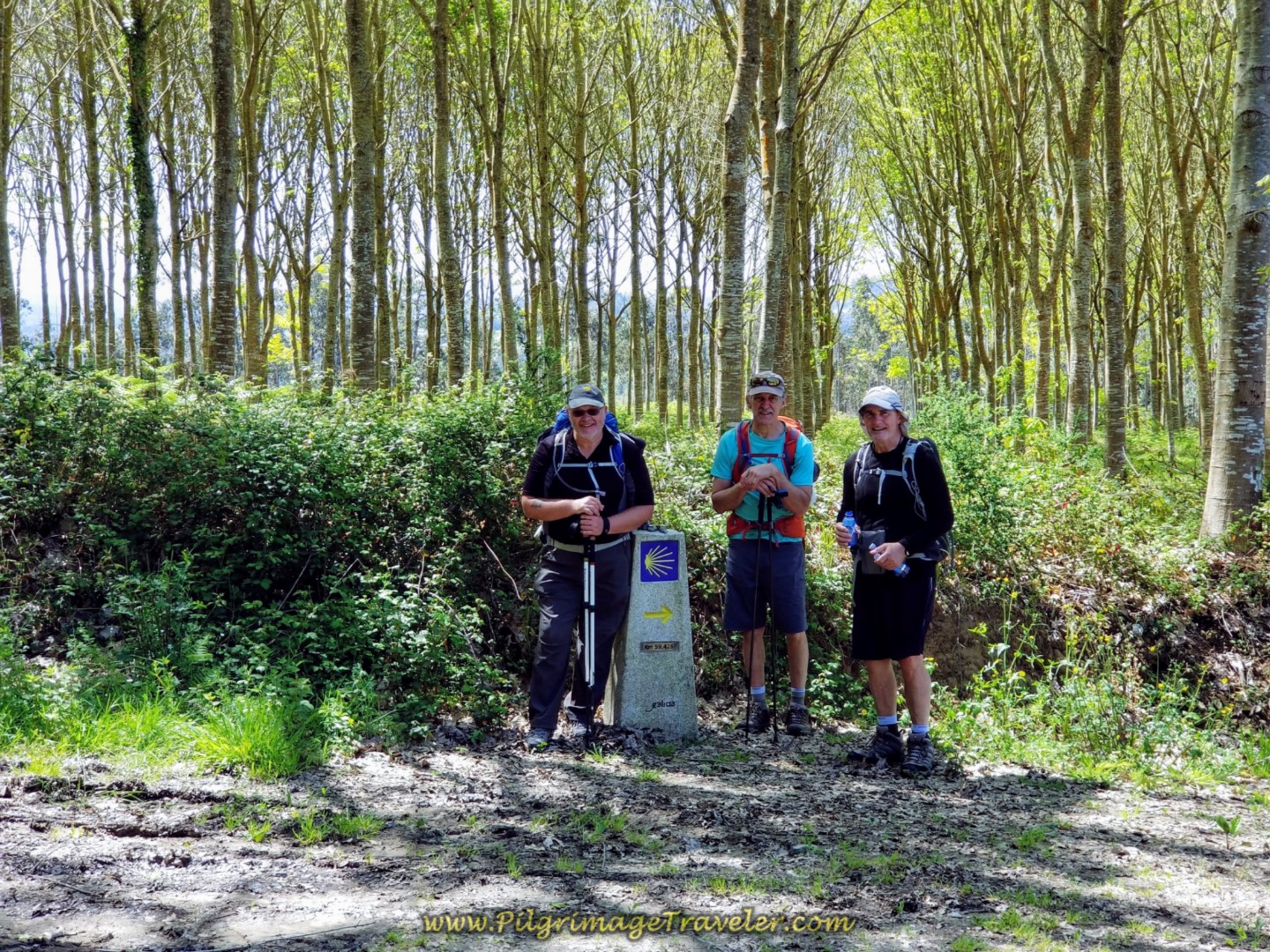 Pausing for a Water and Photo Break in the Forest on day five of the Camino Inglés
