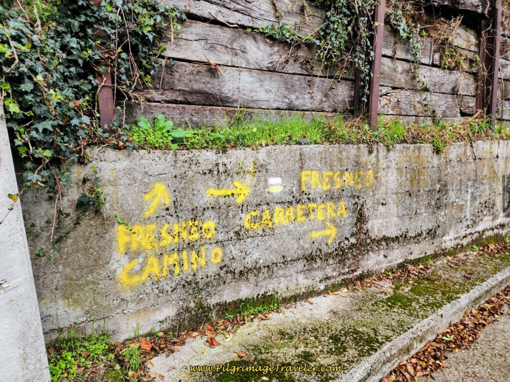 Another Alternative to Fresneo