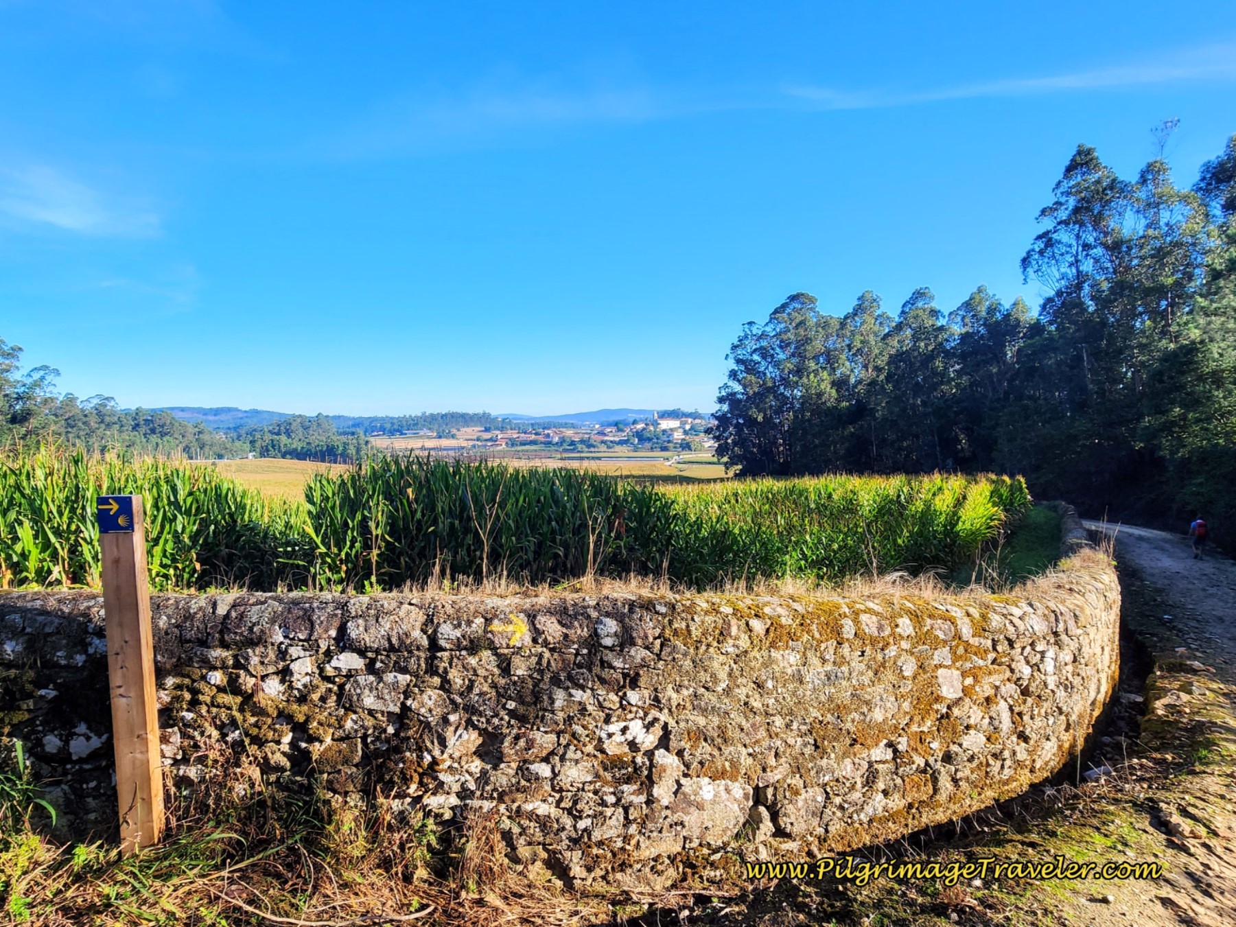 Wide Open Portuguese Countryside, Arcos Ahead