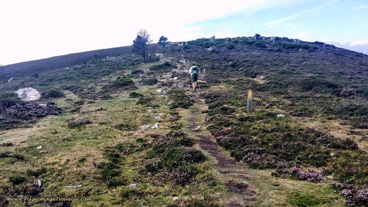 Upwards to the Next Hill