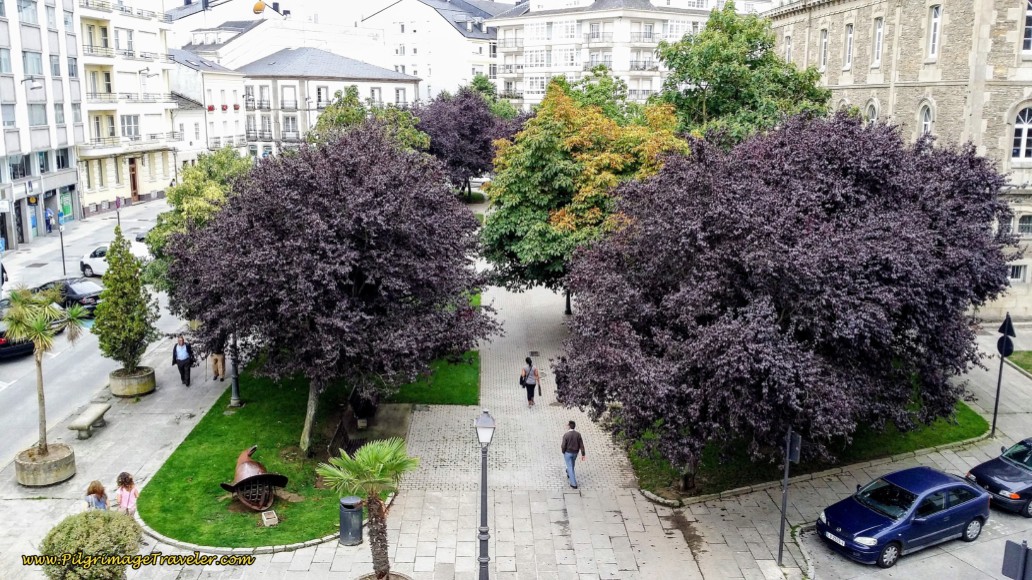Bird's Eye View of the City From the Wall