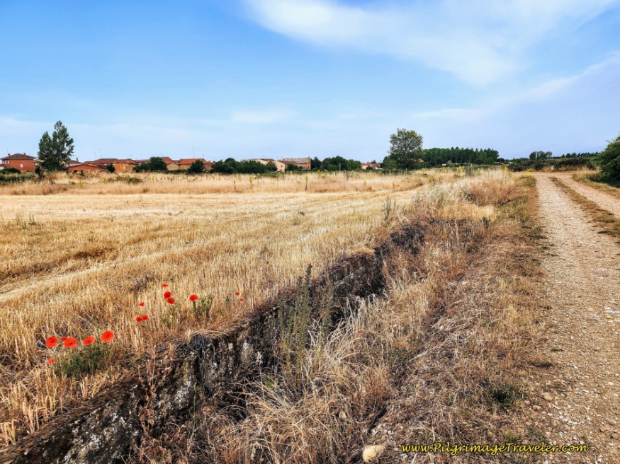 Olleros de Tera Ahead
