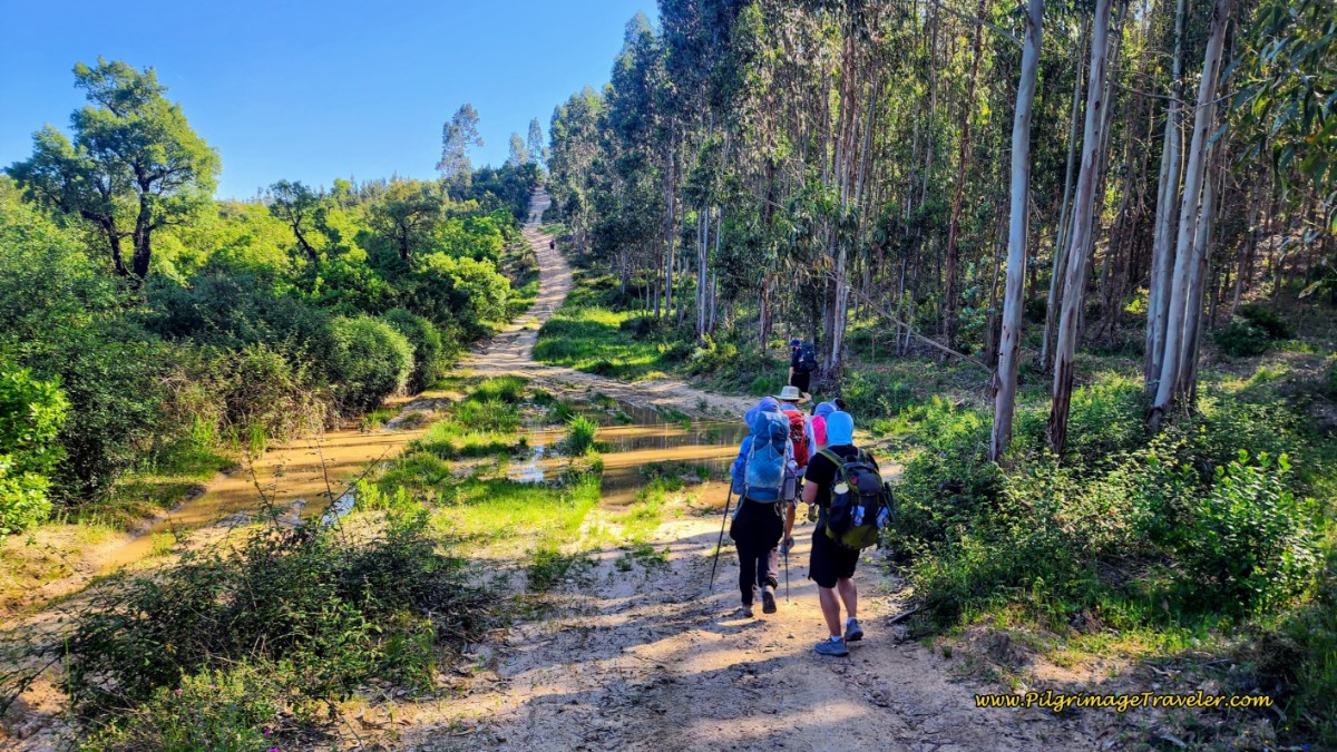 First Big Hill on Day Five, Camino Portugués