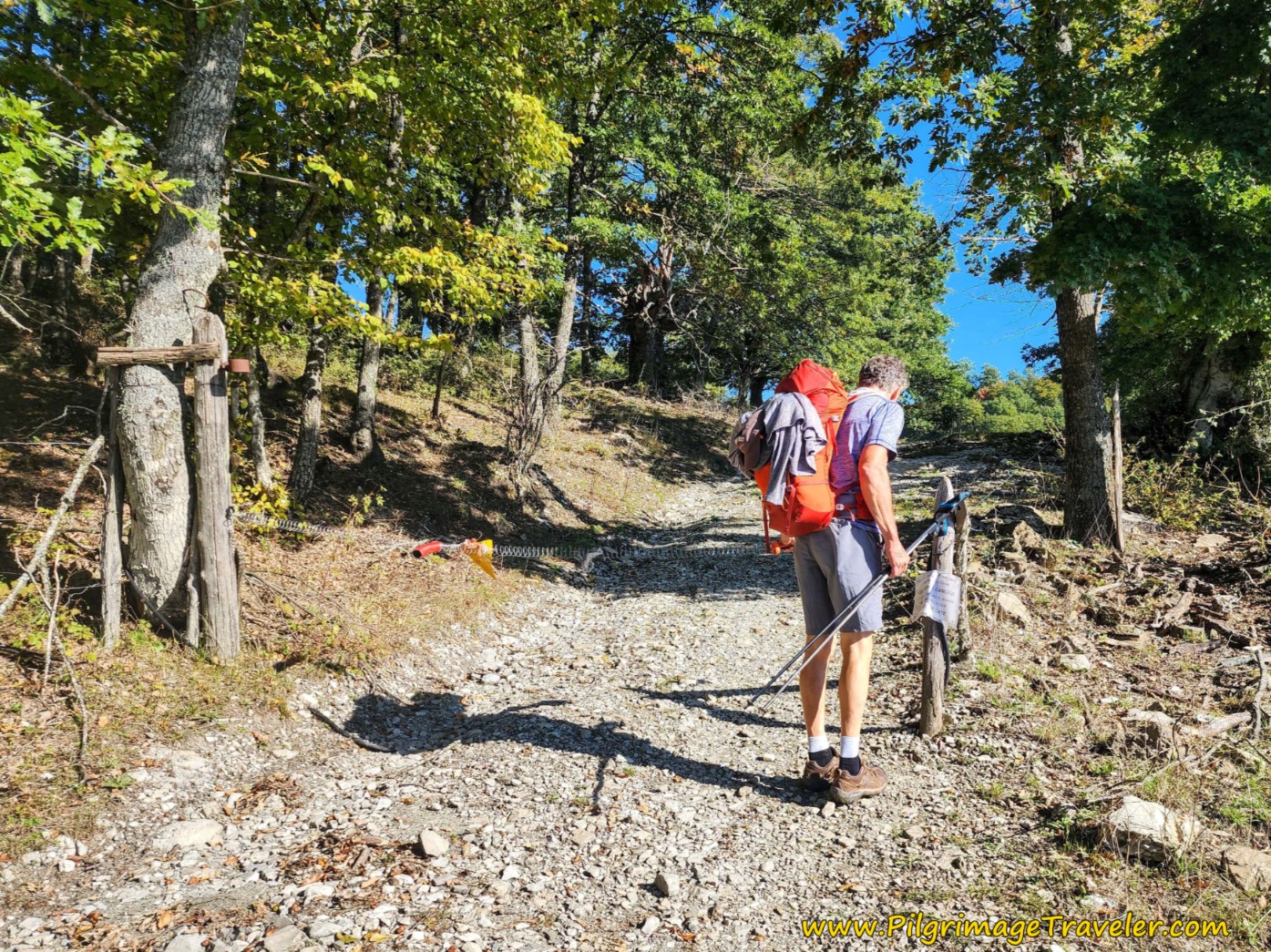 Go Through Gates to Pastures