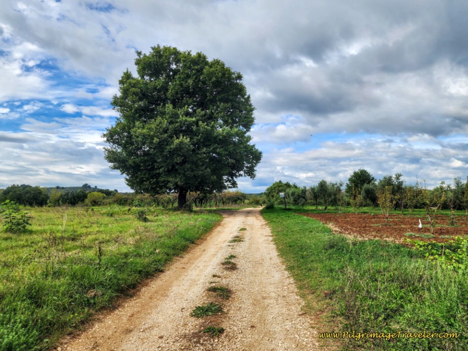 Way of St. Francis: Day Twenty-One, Ponticelli to Monterotondo - Left Turn Ahead Along Another Country Lane