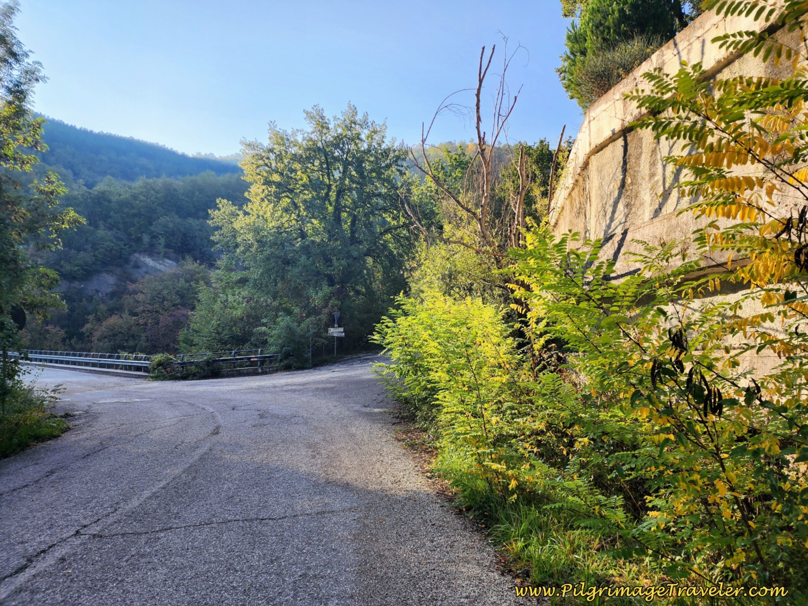 Decision Point Ahead