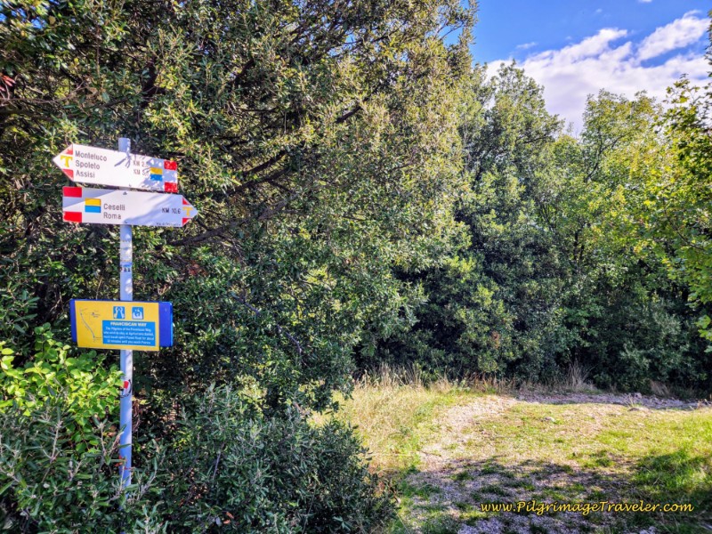 Way of St. Francis: Day Fifteen, Spoleto to Macenano - Descent from the Forca delle Porelle