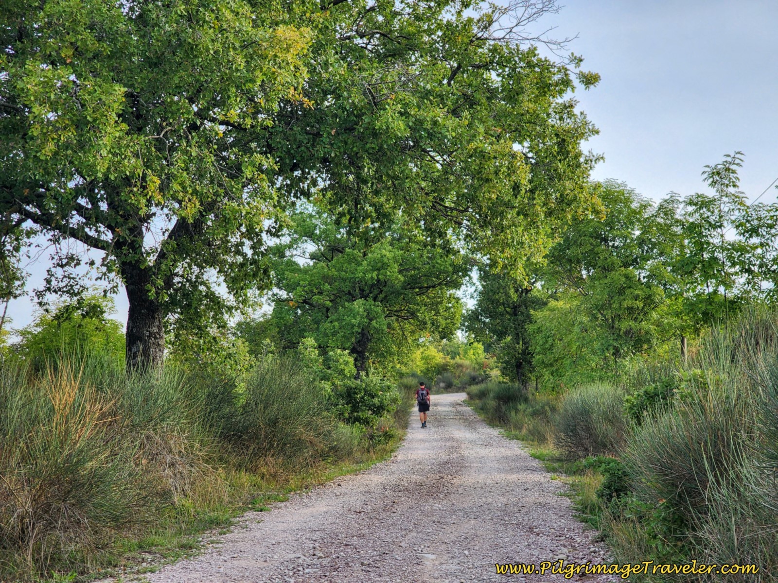 Initial Section of the Second Climb, day seven of the Way of St. Francis from Pietralunga to Gubbio