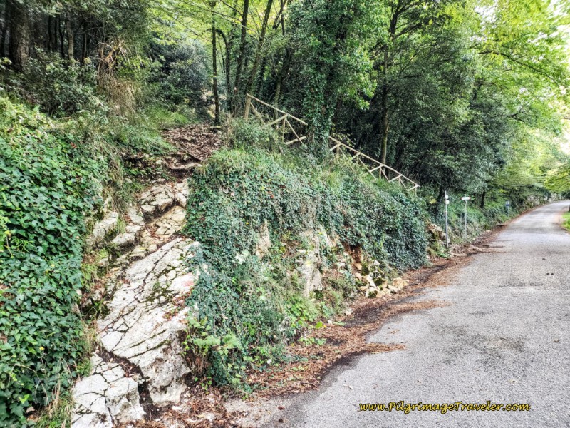 Way of St. Francis: Day Eleven, Assisi to Spello, Leave the Roadway of the Via Eremo delle Carceri Here at this Trailhead to Monte Subasio.