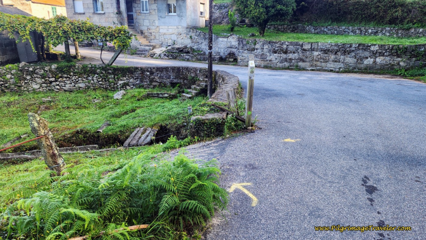 Leave Pavement and Turn Left Onto Path 