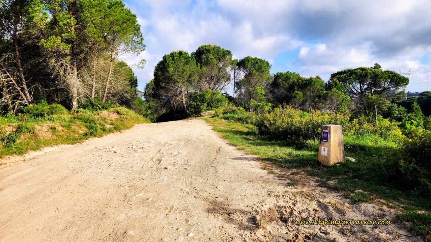 Oteiro Negro Waymark