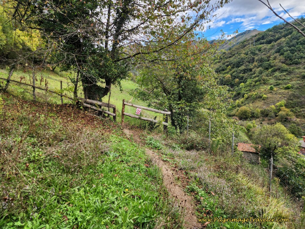 Pass Through Yet Another Gate