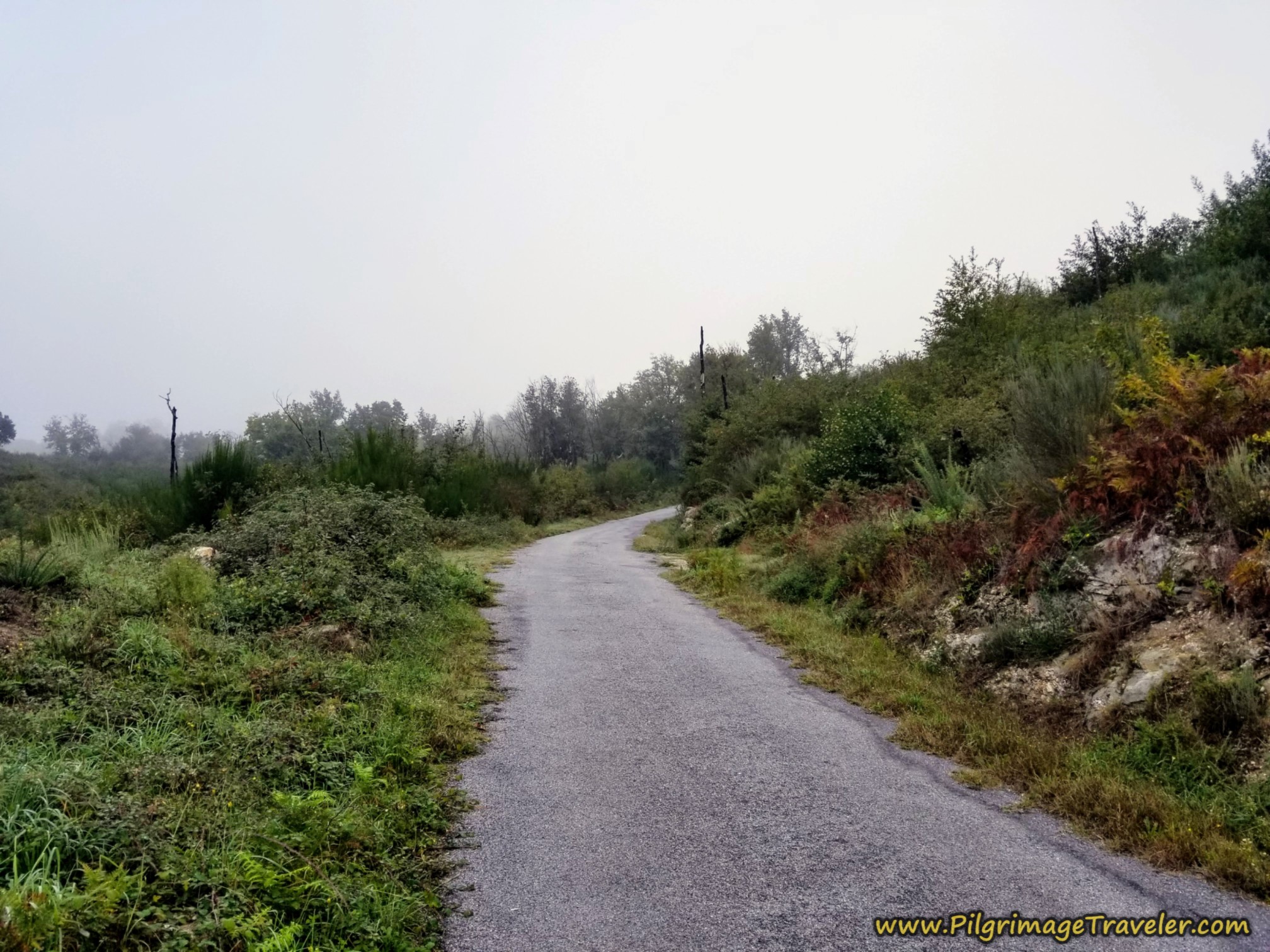 The Paved Country Road Toward Sartédigos