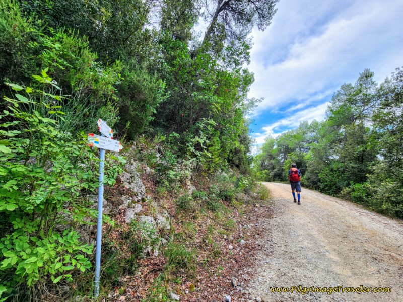 Right Turn At Top of the Second Climb of the Day Way of St. Francis: Day Thirteen, Trevi to Poreta - Right Turn At Top of the Second Climb of the Day