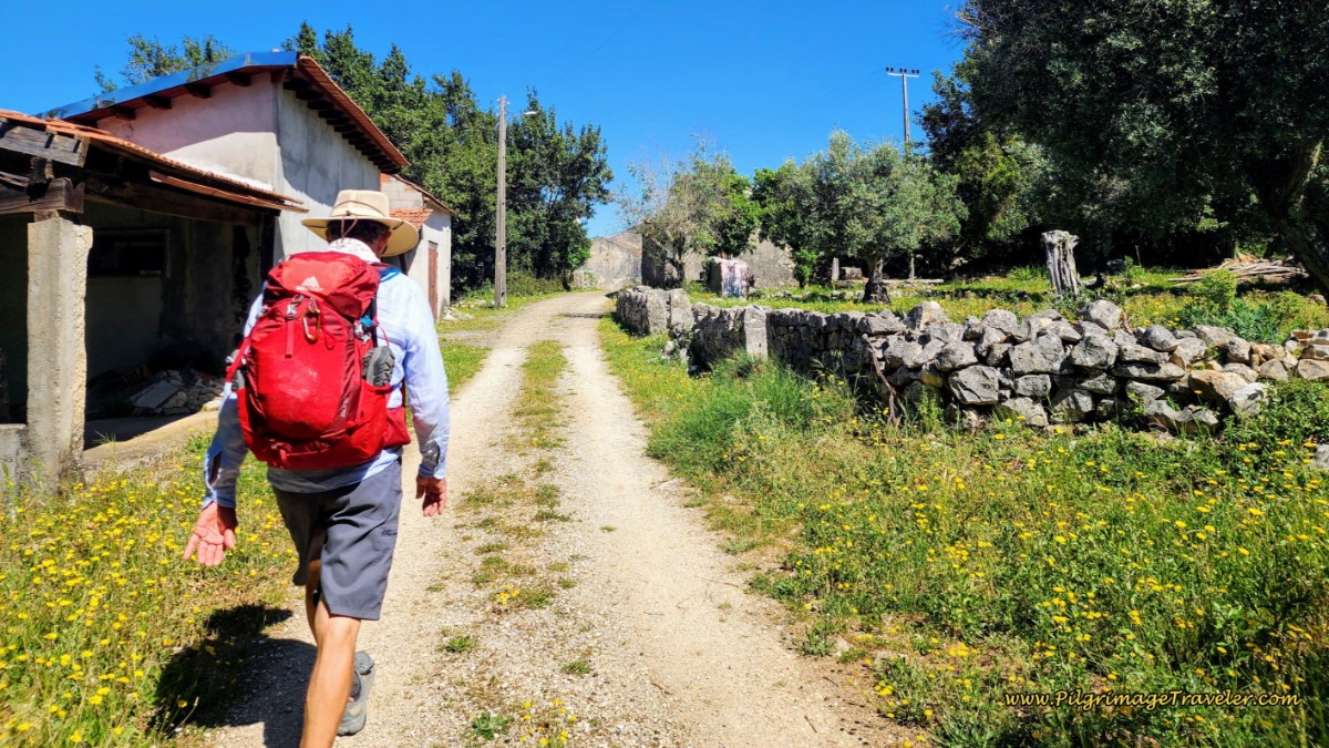Back onto the Pavement Nearer to Ansião