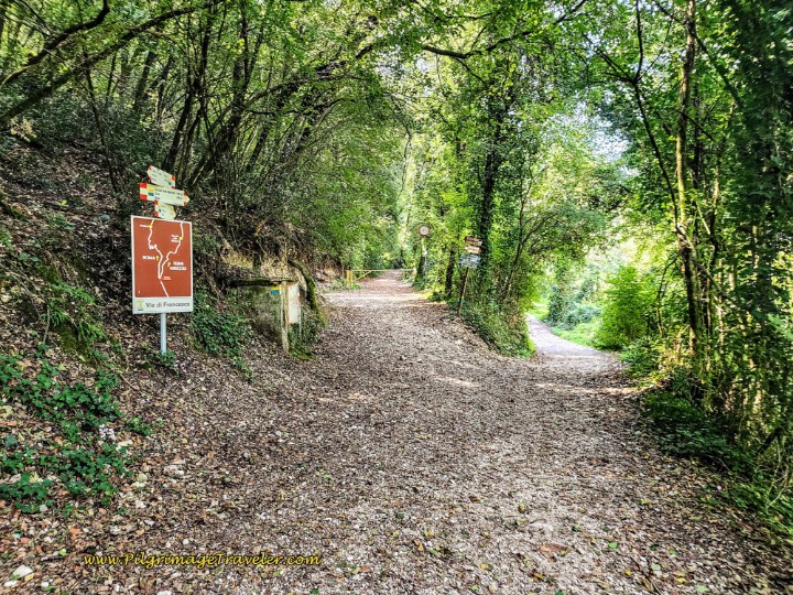 Way of St. Francis: Day Sixteen, Macenano to Piediluco - Route Bifurcation