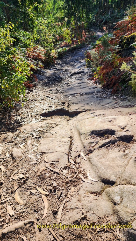Wagon Ruts on Ancient Road Wagon Ruts on Ancient Road