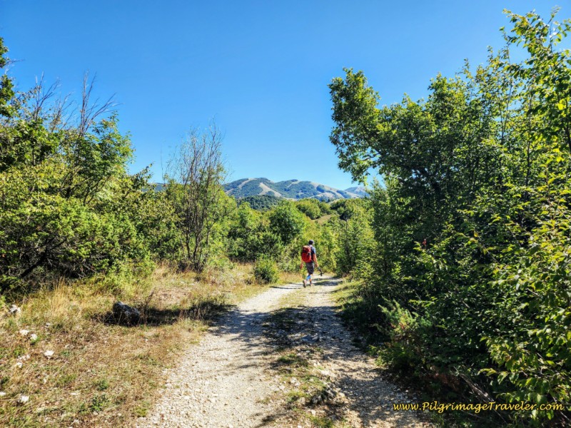 Way of St. Francis: Day Seventeen, Piediluco to Poggio Bustone - Slopes of Monte Fausola Above